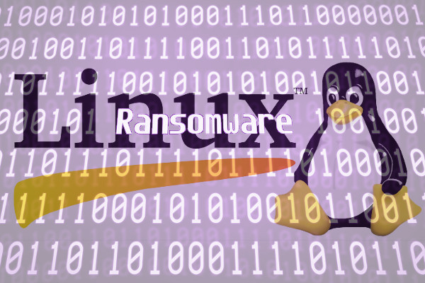 Web Host Agrees to Pay more than $1M in Ransomware Attack